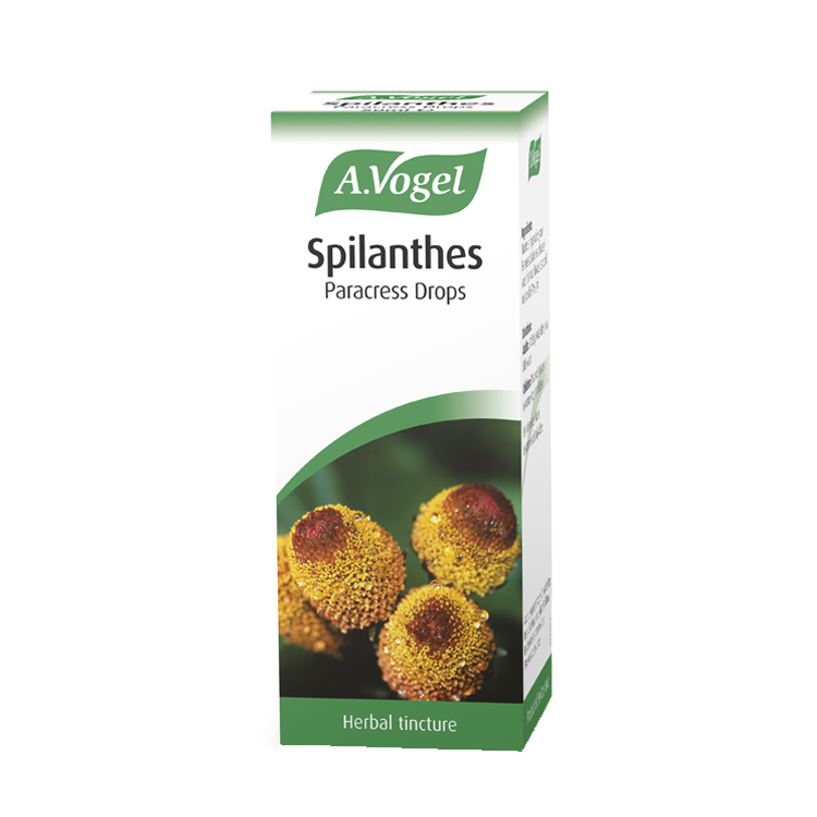 A.Vogel Spilanthes 50ml